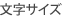 文字サイズ