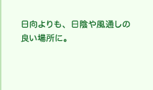 日向よりも、日陰や風通しの良い場所に。