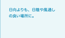 日向よりも、日陰や風通しの良い場所に。