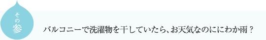 その参
バルコニーで洗濯物を干していたら、お天気なのににわか雨？